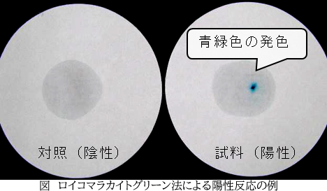 食品異物の血痕検査について