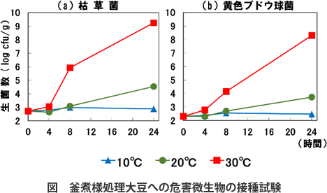 水煮大豆製造工程中の微生物増殖要因の検討